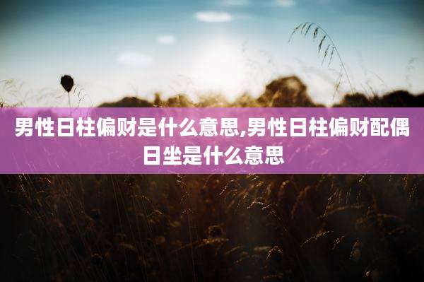 男性日柱偏财是什么意思,男性日柱偏财配偶日坐是什么意思