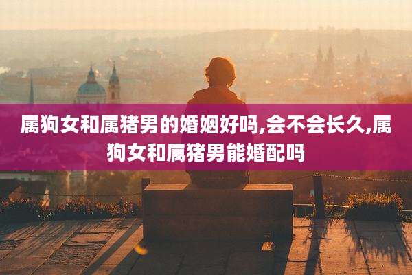 属狗女和属猪男的婚姻好吗,会不会长久,属狗女和属猪男能婚配吗