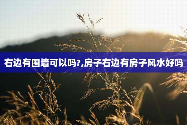 右边有围墙可以吗?,房子右边有房子风水好吗