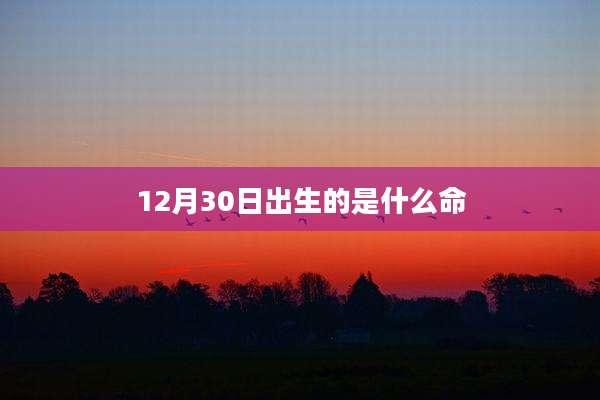 12月30日出生的是什么命
