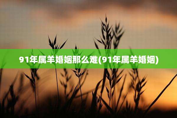 91年属羊婚姻那么难(91年属羊婚姻)
