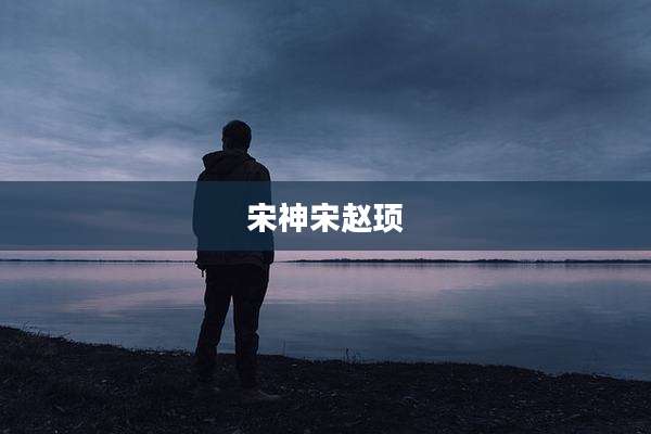 宋神宋赵顼