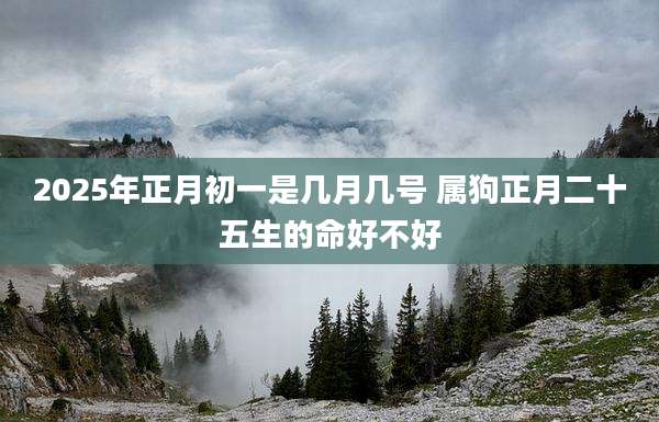 2025年正月初一是几月几号 属狗正月二十五生的命好不好