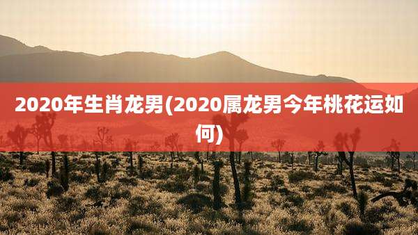 2020年生肖龙男(2020属龙男今年桃花运如何)