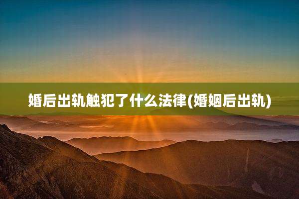 婚后出轨触犯了什么法律(婚姻后出轨)