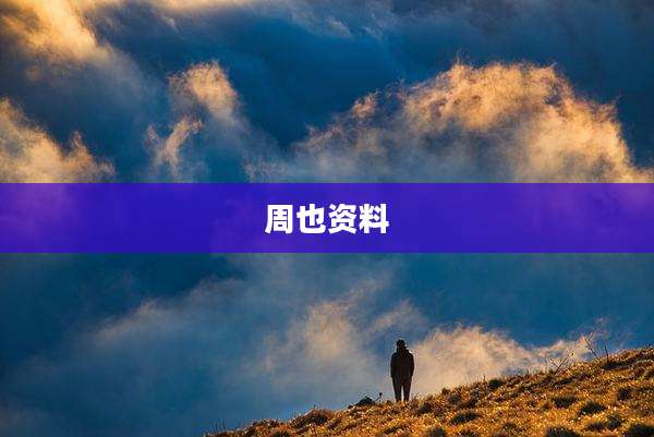 周也资料