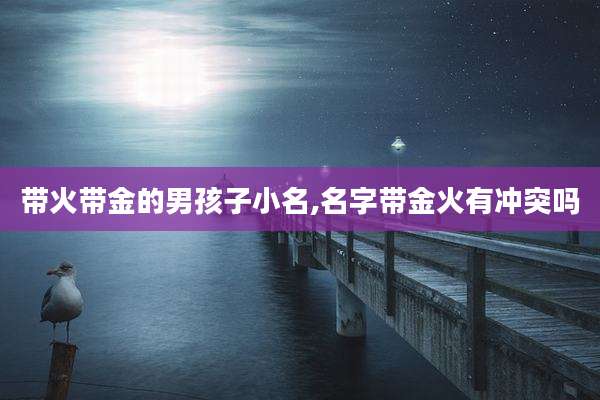 带火带金的男孩子小名,名字带金火有冲突吗