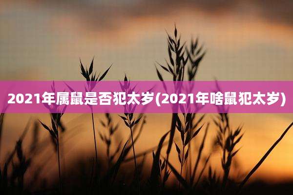 2021年属鼠是否犯太岁(2021年啥鼠犯太岁)