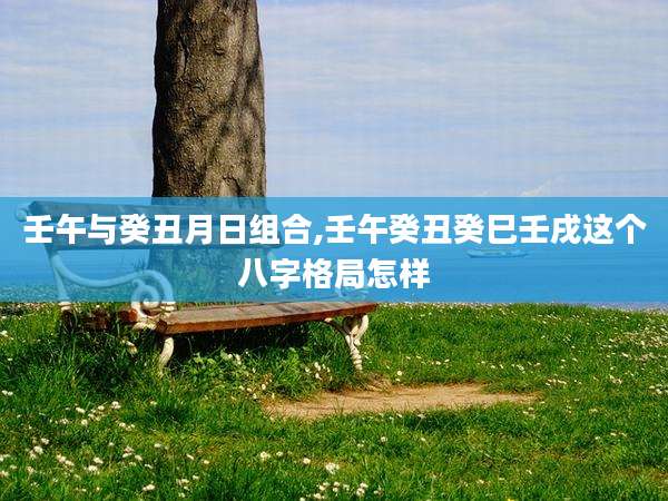 壬午与癸丑月日组合,壬午癸丑癸巳壬戌这个八字格局怎样