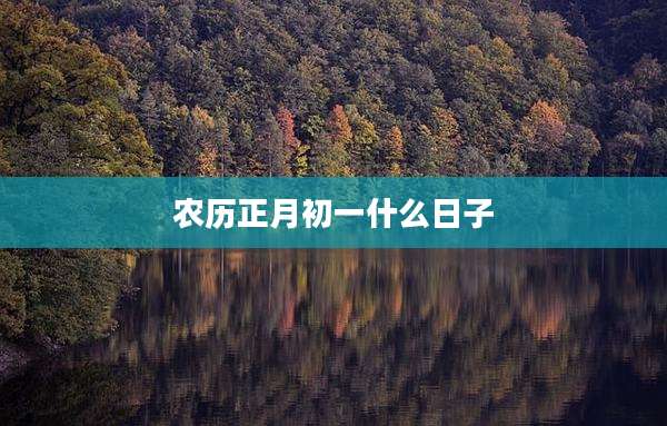 农历正月初一什么日子