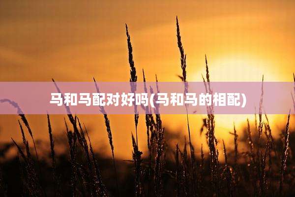 马和马配对好吗(马和马的相配)