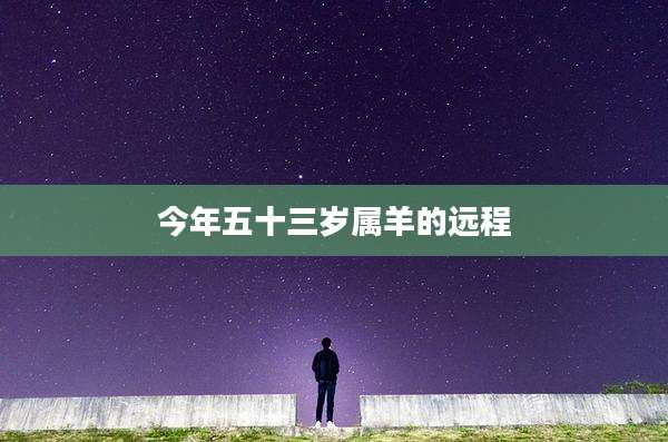 今年五十三岁属羊的远程