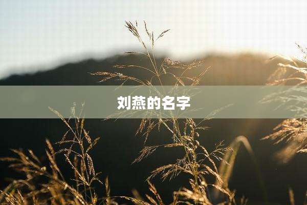 刘燕的名字