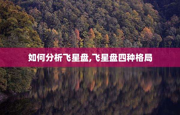 如何分析飞星盘,飞星盘四种格局