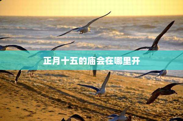 正月十五的庙会在哪里开