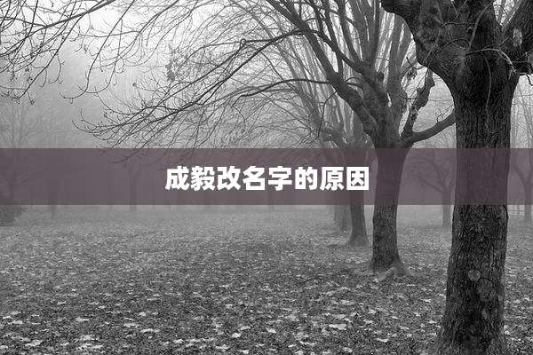 成毅改名字的原因