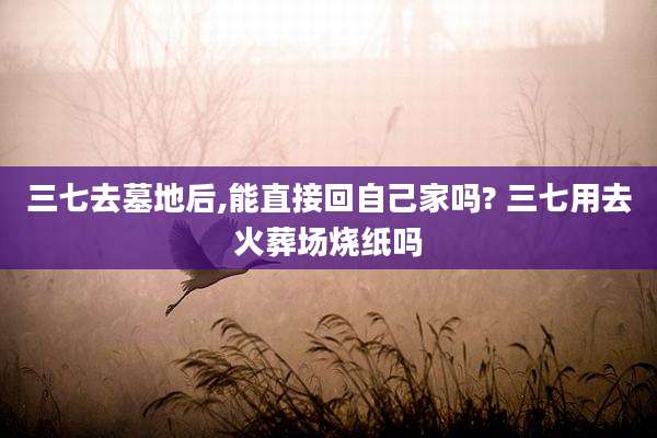 三七去墓地后,能直接回自己家吗? 三七用去火葬场烧纸吗