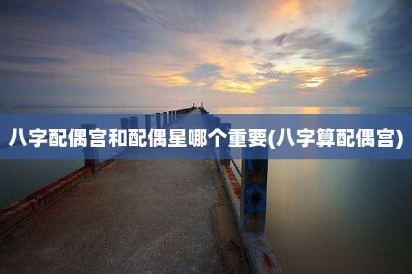 八字配偶宫和配偶星哪个重要(八字算配偶宫)