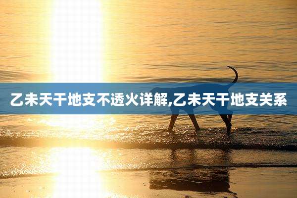 乙未天干地支不透火详解,乙未天干地支关系