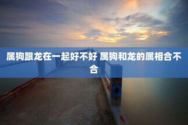 属狗跟龙在一起好不好 属狗和龙的属相合不合