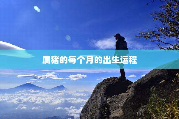 属猪的每个月的出生运程