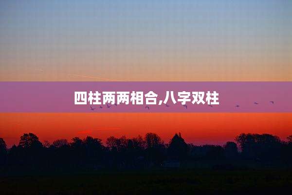 四柱两两相合,八字双柱