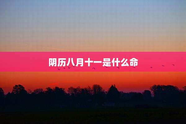 阴历八月十一是什么命