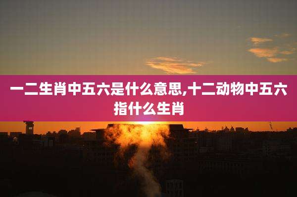 一二生肖中五六是什么意思,十二动物中五六指什么生肖
