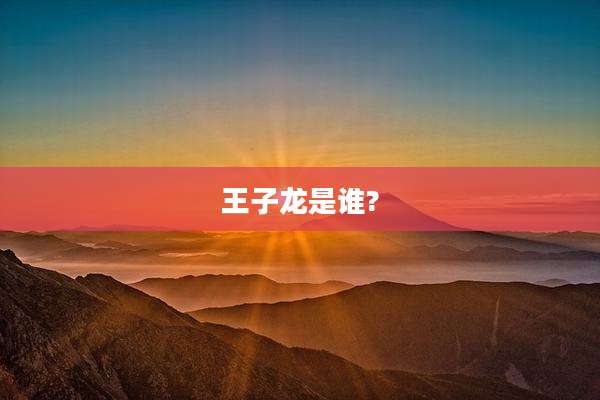 王子龙是谁?