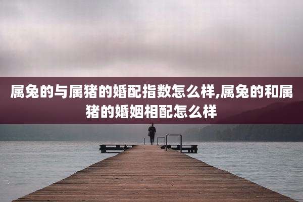 属兔的与属猪的婚配指数怎么样,属兔的和属猪的婚姻相配怎么样