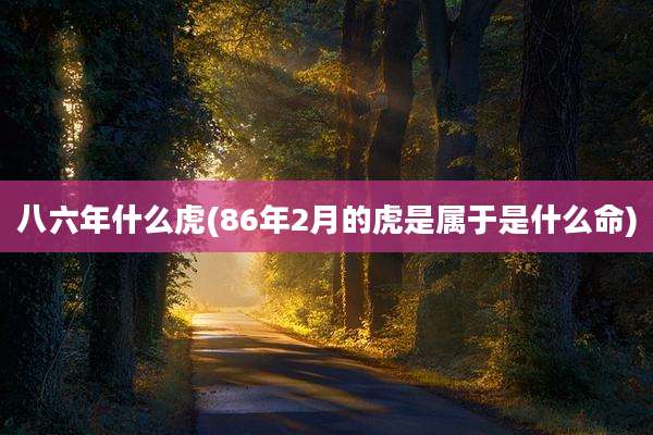 八六年什么虎(86年2月的虎是属于是什么命)
