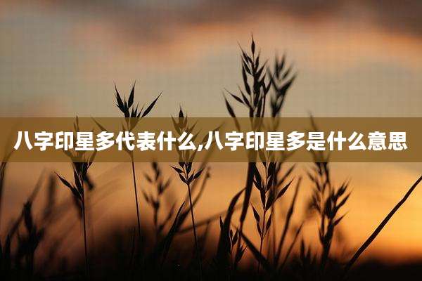 八字印星多代表什么,八字印星多是什么意思