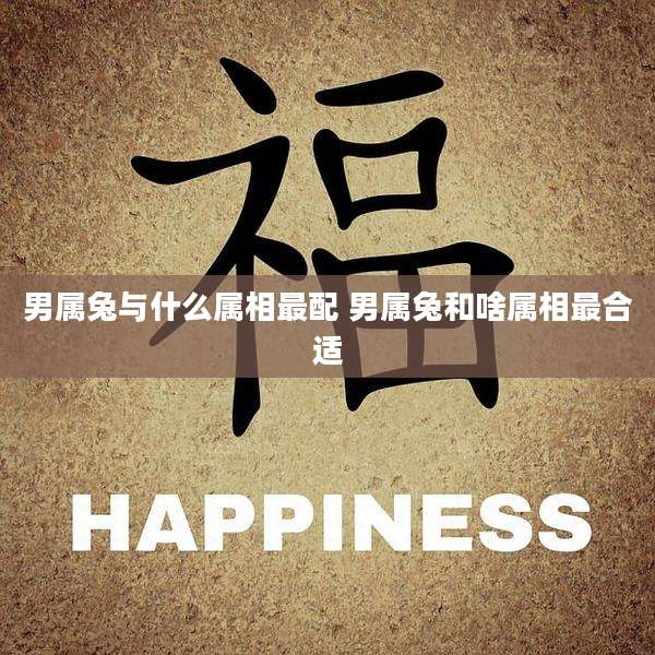 男属兔与什么属相最配 男属兔和啥属相最合适