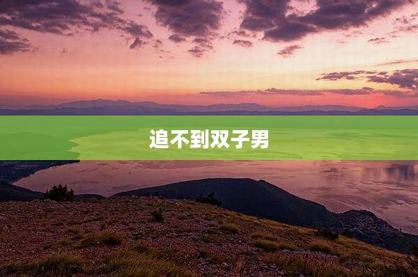 追不到双子男