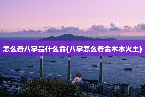 怎么看八字是什么命(八字怎么看金木水火土)