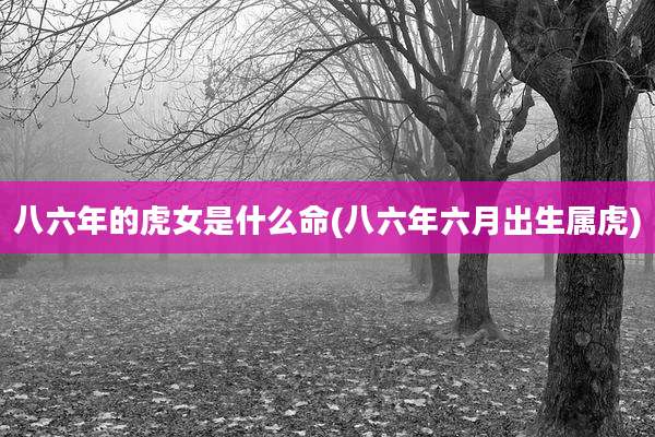 八六年的虎女是什么命(八六年六月出生属虎)