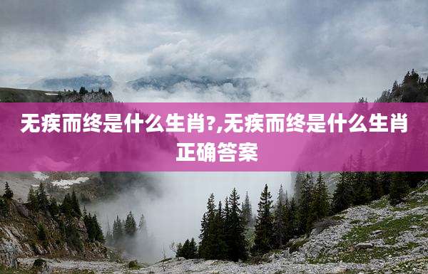 无疾而终是什么生肖?,无疾而终是什么生肖 正确答案