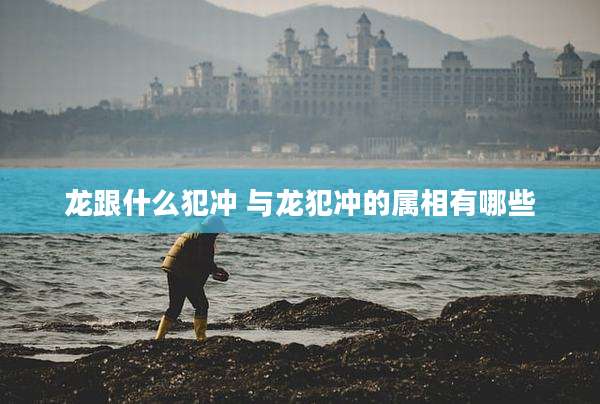 龙跟什么犯冲 与龙犯冲的属相有哪些