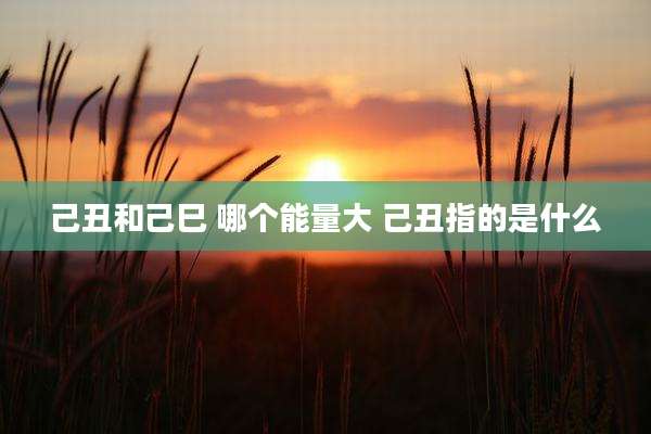 己丑和己巳 哪个能量大 己丑指的是什么