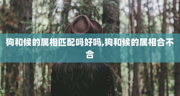 狗和候的属相匹配吗好吗,狗和候的属相合不合