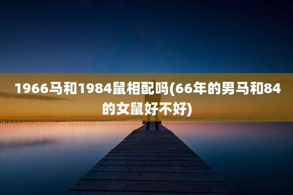1966马和1984鼠相配吗(66年的男马和84的女鼠好不好)