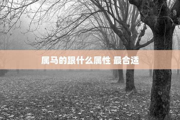 属马的跟什么属性 最合适
