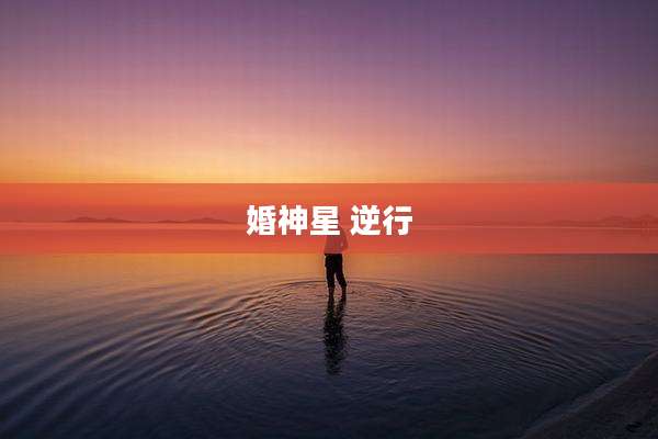 婚神星 逆行