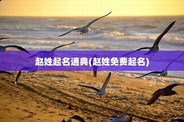 赵姓起名通典(赵姓免费起名)