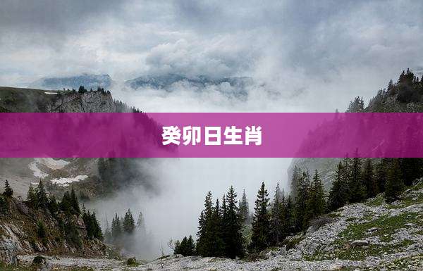 癸卯日生肖