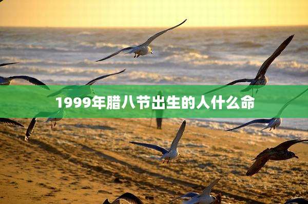 1999年腊八节出生的人什么命