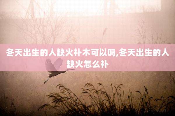 冬天出生的人缺火补木可以吗,冬天出生的人缺火怎么补