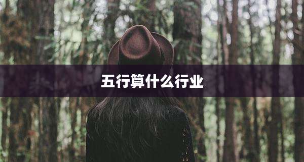 五行算什么行业
