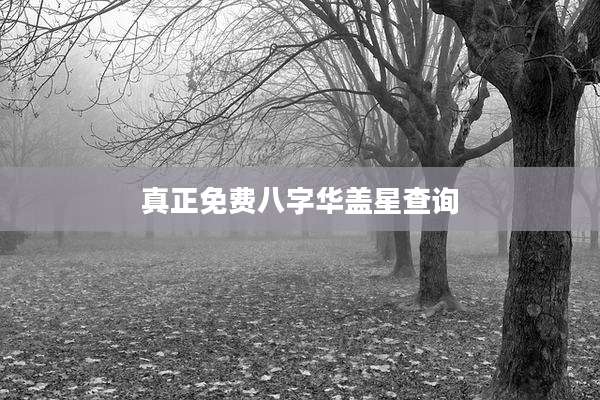 真正免费八字华盖星查询