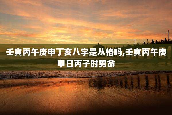 壬寅丙午庚申丁亥八字是从格吗,壬寅丙午庚申日丙子时男命